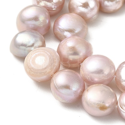 Natural Cultured Freshwater Pearl Beads Strands PEAR-A006-13D-1