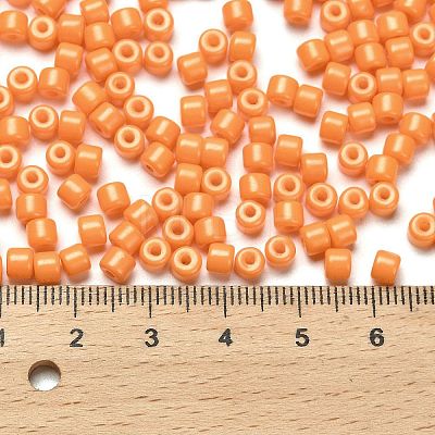 Baking Paint Pearlized Glass Seed Beads SEED-C001-04A-19-1