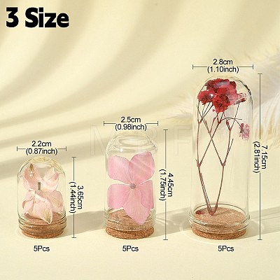 15Pcs 3 Styles Glass Dome Cloche Cover AJEW-YW0001-08-1