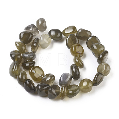 Natural Agate Beads Strands G-L560-M-1