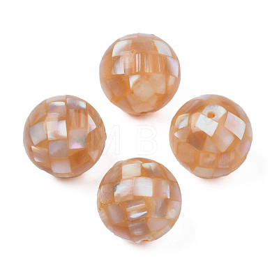 Natural Pink Shell Beads SHEL-N026-189A-01-1