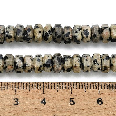 Natural Dalmatian Jasper Beads Strands G-G317-A16-3x6mm-1