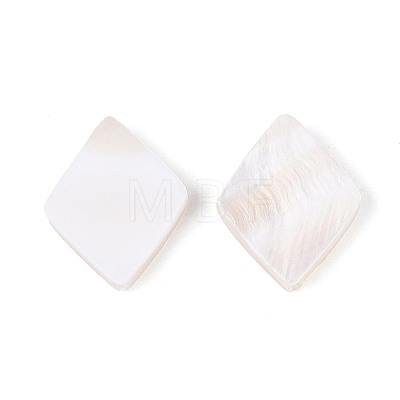 Natural Freshwater Shell Beads BSHE-T014-46-1