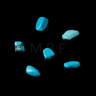 Natural Magnesite Chip Beads G-M364-09A-1