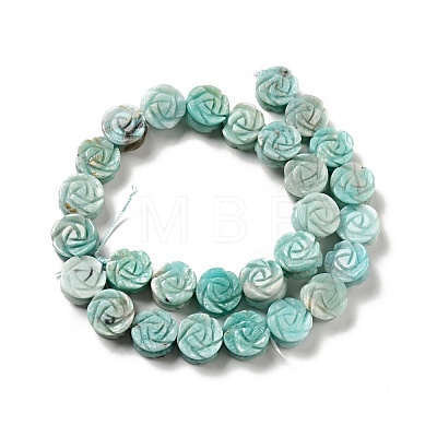 Natural Amazonite Beads Strands G-D475-01A-1
