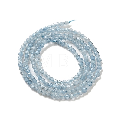 Natural Aquamarine Beads Strands G-B074-B01-01-1