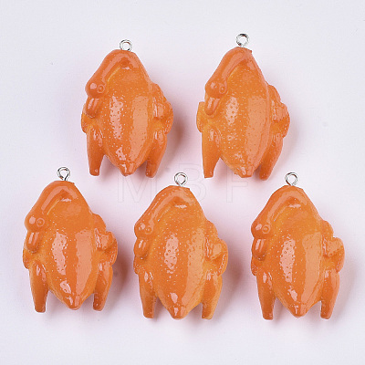 Resin Pendants X-RESI-N021-02-1