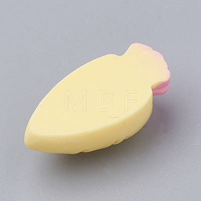 Resin Cabochons CRES-N016-30E-1