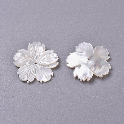 Natural White Shell Beads BSHE-XCP0001-84-1