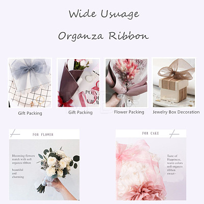 Organza Ribbon RS6mmY040-1