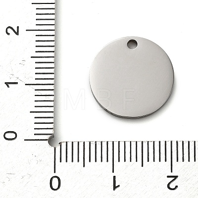 304 Stainless Steel Pendants STAS-H438-07P-04-1