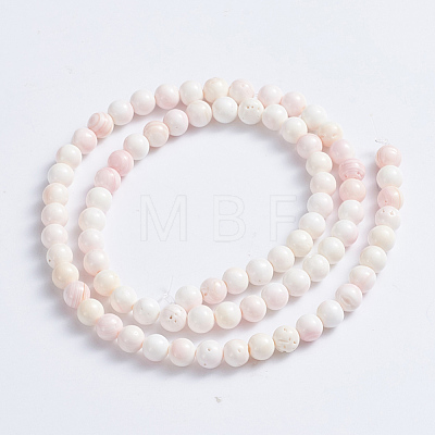 Natural Pink Shell Beads Strands X-SSHEL-L016-18A-1