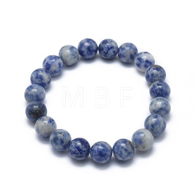 Natural Blue Spot Jasper Bead Stretch Bracelets X-BJEW-K212-B-039-1