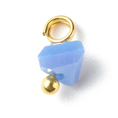 Electroplate Glass Charms PALLOY-JF00821-05-1