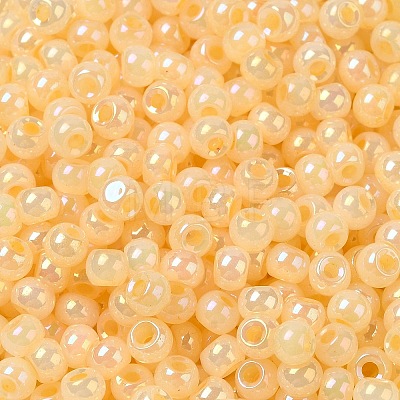 Glass Seed Beads SEED-H002-H-1307-1