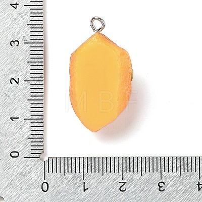 Resin Imitation Food Pendants FIND-U001-02H-1