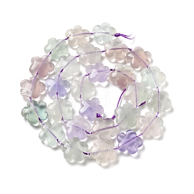 Natural Fluorite Beads Strands G-D475-02A-1