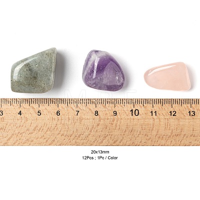 12Pcs No Hole/Undrilled Natural Gemstone Beads G-FS0001-28-1