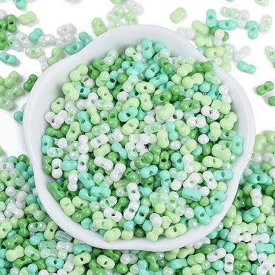 Glass Seed Beads SEED-K010-03H-1