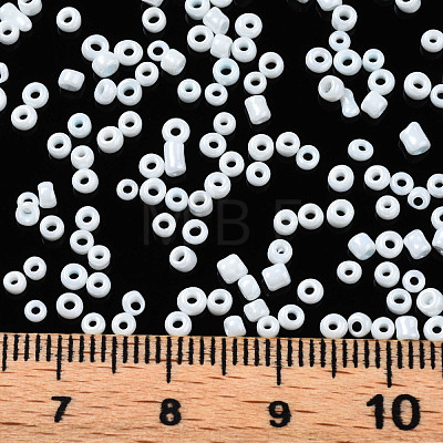 Glass Seed Beads SEED-S060-A-979-1