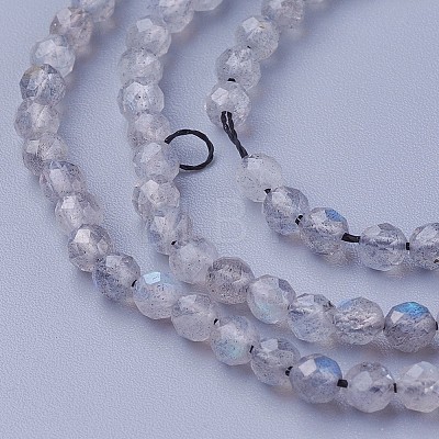 Natural Labradorite Beads Strands G-F619-15-4mm-1