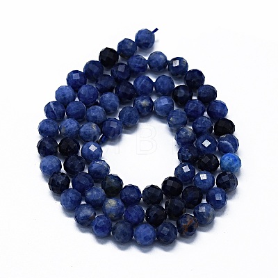 Natural Sodalite Beads Strands G-G927-42-1