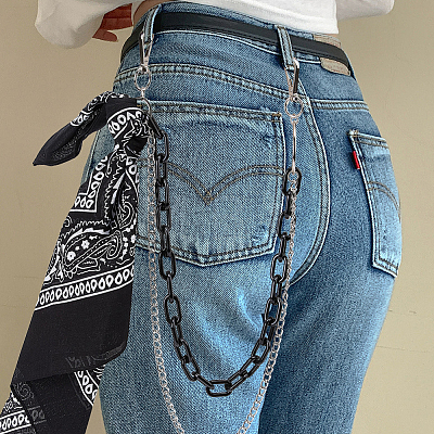 1Pc Alloy Curb Chain & Plastic Paperclip Chain Double Layer Chains for Pants AJEW-BM0001-26-1