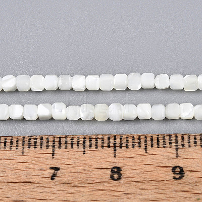 Natural Trochid Shell/Trochus Shell Beads Strands SSHEL-N041-04A-01-1