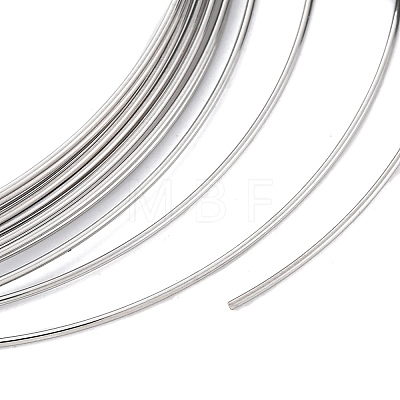 304 Stainless Steel Wire TWIR-G002-01P-1