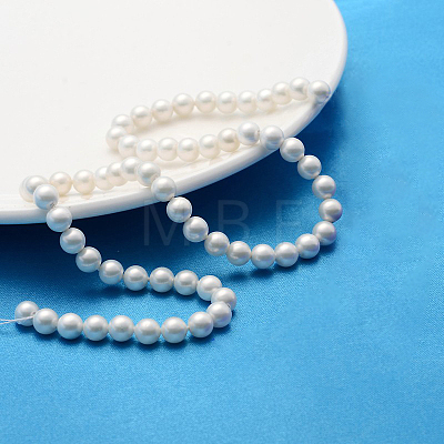 Polished Shell Pearl Round Beads Strands SP6MM701-1