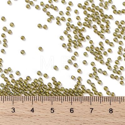 TOHO Round Seed Beads SEED-JPTR11-0246-1