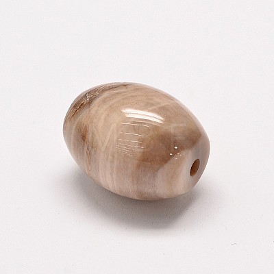 Natural Petrified Wood Beads G-P076-34A-1