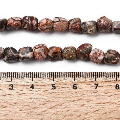 Natural Leopard Skin Jasper Beads Strands G-B161-A03-01-1