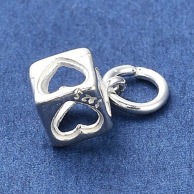 Sterling Silver Charms STER-E070-03A-1