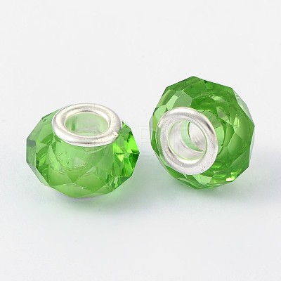 Handmade Glass European Beads GPDL25Y-17-1