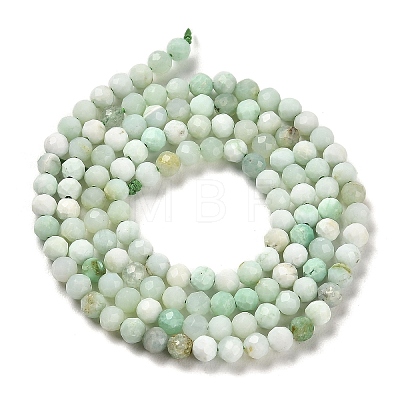 Natural Green Opal Beads Strands G-Z035-A02-02B-1