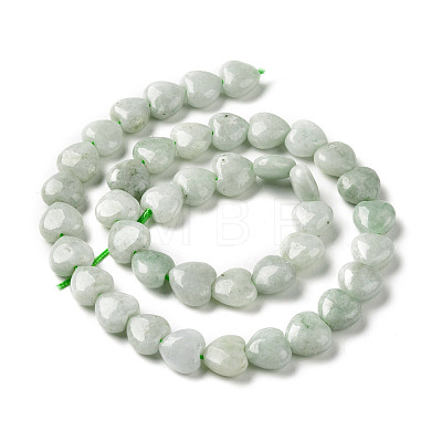 Natural Myanmar Jade/Burmese Jade Beads Strands G-C238-15-1