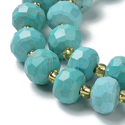 Natural Howlite Beads Strands G-E604-D01-B-1