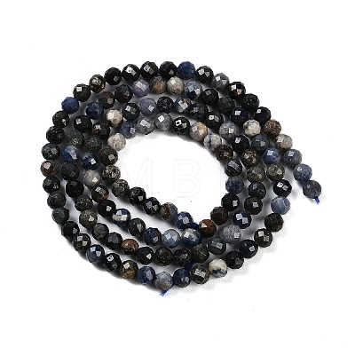 Natural Sapphire Beads Strands G-P553-G07-02-1