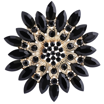 1Pc Alloy Acrylic Lapel Pins for Clothes JEWB-CP0001-55A-1
