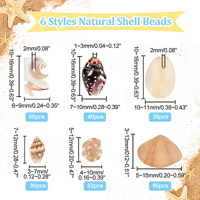   6 Styles Natural Shell Beads Display Ornaments SHEL-PH0001-46-1