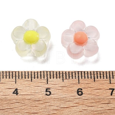 Frosted Transparent Acrylic Beads OACR-A032-12A-1