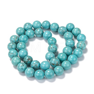 Natural Magnesite Beads Strands G-L555-02-10mm-A-1