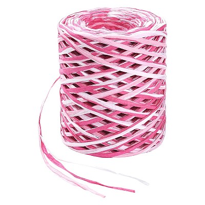 1 Roll Segment Dyed Raffia Paper Cords for DIY Craft OCOR-CJ0004-12-1