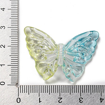 Two Tone Transparent Acrylic Beads OACR-E041-06D-1