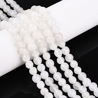 Dyed Natural White Jade Beads Strands G-T139-6mm-60-26-1