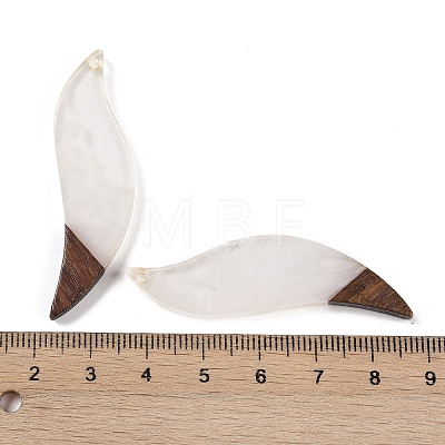 Resin & Wood Big Pendants WOOD-F015-18H-1