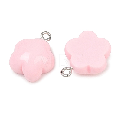 Opaque Resin Pendants RE-CBAF00C-12A-1