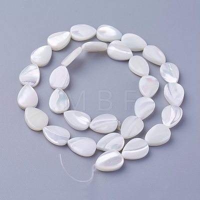Shell Beads Strands SSHEL-E571-23A-1