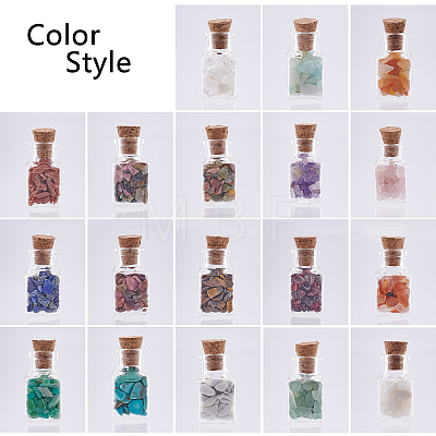 19Pcs Various Gemstone No Hole Chips in Bottles G-PH0034-50-1